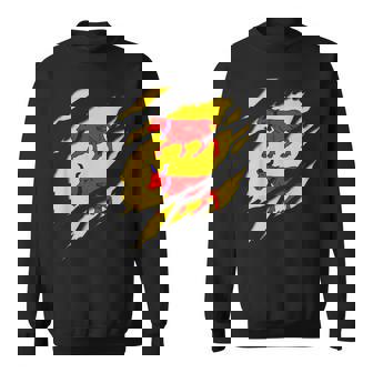 Drapeau Béarn Blason Déchiré À Effet 3D France Sweater e - Cadeauxyz