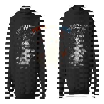 Feral But Free Raccoon 4Th Of July Trash-Panda Retro Sweatshirt - Thegiftio