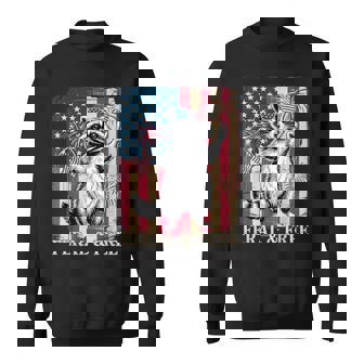 Feral But Free Raccoon July 4Th Sweatshirt | Mazezy