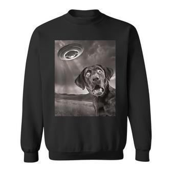 Dog Black Lab Labrador Retriever Ufo Selfie Sweatshirt - Thegiftio UK