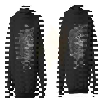 Oiia Oiia スピニングキャットミーム スウェットシャツ - Kawaiitshirt