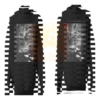 Smoking Cat Cigarette Kitty Gen Z Meme Cat Lover Sweatshirt | Mazezy