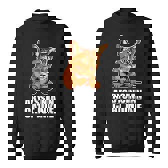 Gato Abisinio Abisinio Gatito Abisinio Camisa de entrenamiento - Regaloses