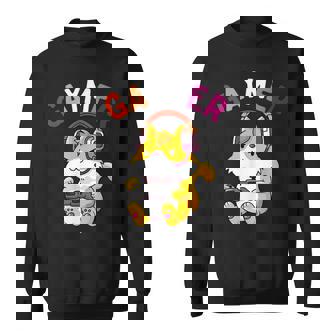 Gaymer Lesbienne Fierté Drapeau Gamer Lgbtq Jeuidéo Chat Sweater e - Cadeauxyz