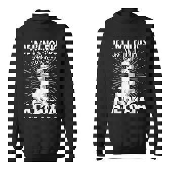 Je M'en Fous Jeuis Un Alpaga Alpaga Mignon Sweater e - Cadeauxyz