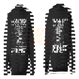 Je M'en Fous Jeuis Un Furet Furet Mignon Sweater e - Cadeauxyz
