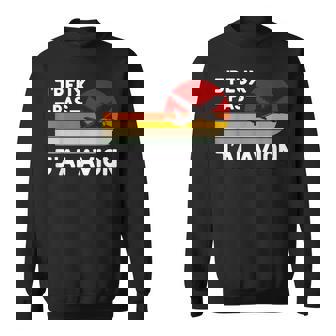 Je Peux Pas J'ai Avion Humour Pilote Hôtesseteward Cadeau Sweater e - Cadeauxyz