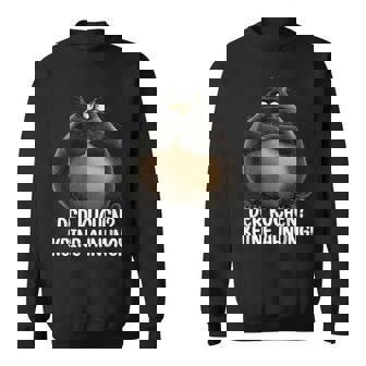 Katzen Katzenbesitzer Lustigpruch Dicker Kater Fun Sweatshirt - Geschenkecke