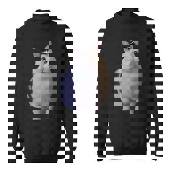 Meme Huh Catミームハァキャット面白い スウェットシャツ - Kawaiitshirt