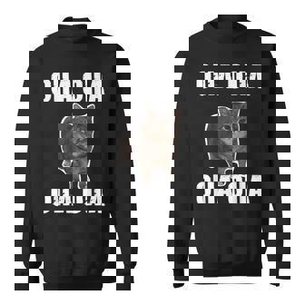 Oiia Oiia スピニング インターネット ミーム 猫 ユーモラス 面白い ブレイン スウェットシャツ - Kawaiitshirt