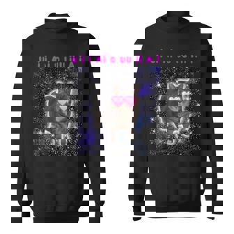 Oiiaa Oiiaa Cat Brain Rediralpinning Cat Meme Sweatshirt - Seseable