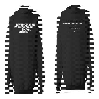 My Pronouns Are Fuck You Sarcasm Adult Sweatshirt | Mazezy