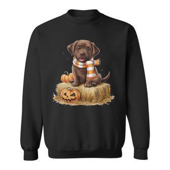 Pumpkin And A Chocolate Lab Sweatshirt - Thegiftio UK