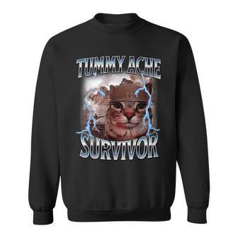 I Survived Today's Tummy Ache Survivor Cat Meme Sweatshirt - Thegiftio UK