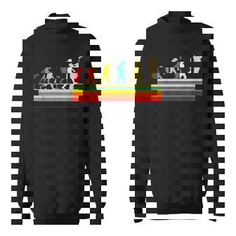 Trompette Trompettiste Evolution Instrument De Musique Drôle Sweater e - Cadeauxyz