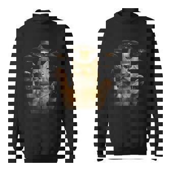 Ufo 誘拐 猫 面白い エイリアン ビーム リアル スタイル スウェットシャツ - Kawaiitshirt