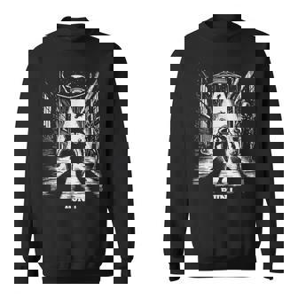 Ufoから逃げるアライグマ、Sfユーモア、エイリアンに追われる スウェットシャツ - Kawaiitshirt