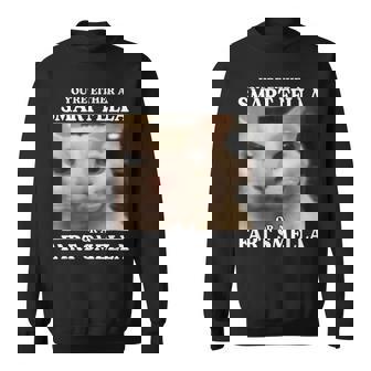 You're Either A Smart Fella Or A Fart Smella Cat Meme Sweatshirt | Mazezy