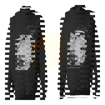 おさるの犬 バルソイ スウェットシャツ - Kawaiitshirt