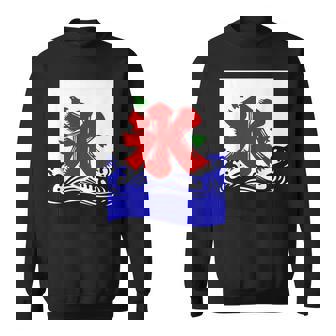 かきごり 日本のこりちどり かき氷サインtシャツ スウェットシャツ - Kawaiitshirt