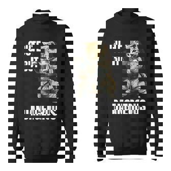 かわいいけど危険な空手 面白い テコンドー 猫 格闘技 スウェットシャツ - Kawaiitshirt