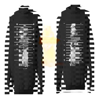 かわいいフェレット泥棒 面白い動物 スウェットシャツ - Kawaiitshirt