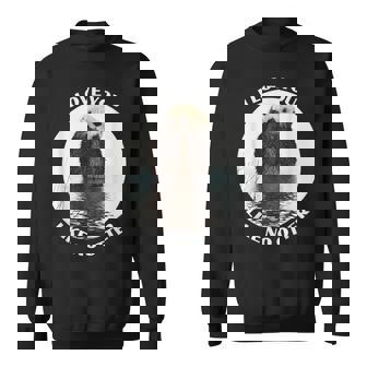 かわいいラッコ 言って I Love You Like No Otter私はあなたを愛しています スウェットシャツ - Kawaiitshirt