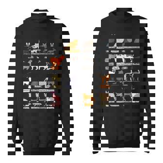 かわいい猫の種類 スウェットシャツ - Kawaiitshirt