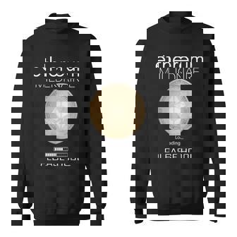 イーサリアム ミリオネール ローディング プリー・ホドル ファニー Eth 20 コイン スウェットシャツ - Kawaiitshirt