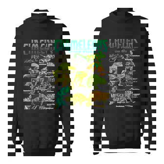 カメレオンズ・オブ・ザ・ワールド 知育爬虫類 トカゲ好き スウェットシャツ - Kawaiitshirt