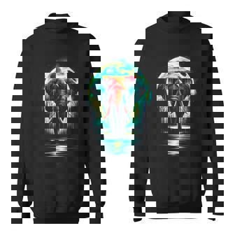 カラフル 象 精霊 動物 かっこいい イラスト アート スウェットシャツ - Kawaiitshirt