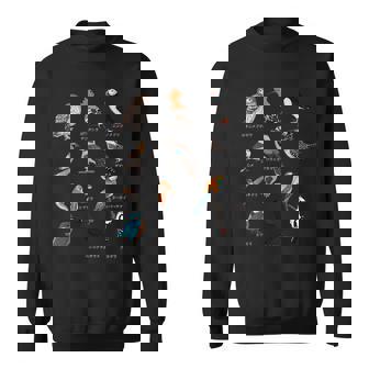 カワセミ ヒゲガラ ニシツノメドリ 鳥 動物 図 バードウォッチング 贈り物 鳥類学者 生物学者 自然科学 スウェットシャツ - Kawaiitshirt