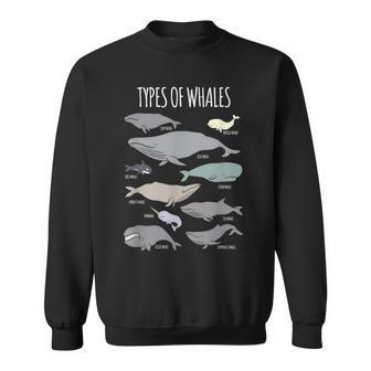 クジラ種 海洋生物 スウェットシャツ - Kawaiitshirt