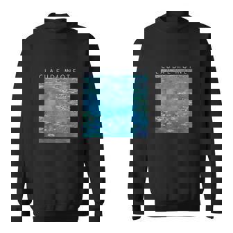 クロード モネ 面白いtシャツ 睡蓮 印象派 絵画 アート メンズ レディース 面白い 服 美術 油彩画 スウェットシャツ - Kawaiitshirt