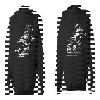 サッカーボール グラフィック 猫 スポーツ コスチューム ギフト スウェットシャツ - Kawaiitshirt