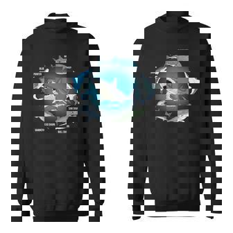サメ6種 サメタイプ サメ 海の生き物 メガロドン サメ スウェットシャツ - Kawaiitshirt