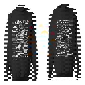 サメの種類 面白いサメの顔 サメの恋人 キッズ 先生 スウェットシャツ - Kawaiitshirt