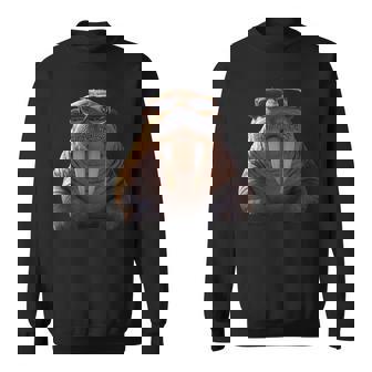 サングラスの牙を持つセイウチ アザラシ セイウチ スウェットシャツ - Kawaiitshirt