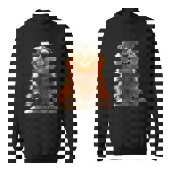 サングラスをかけたマーモット 齧歯類 地リス マーモット スウェットシャツ - Kawaiitshirt