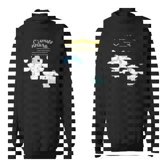 シナモロール ハピネスマイルーム スウェットシャツ - Kawaiitshirt