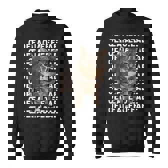 スピニングキャットミーム Oiiaoiia キャットミーム スウェットシャツ - Kawaiitshirt