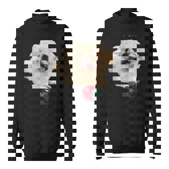 スマイル ペキニーズサニー スウェットシャツ - Kawaiitshirt