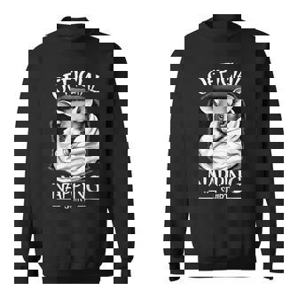 スリーピーヘッドポッサムパジャマ スウェットシャツ - Kawaiitshirt