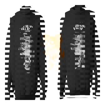 チワワ 犬の筋肉トレーニング ダンベル付き フィットネスジム スウェットシャツ - Kawaiitshirt