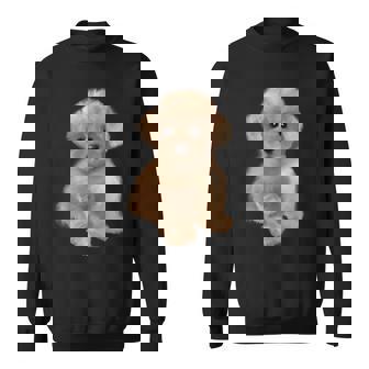 トイプードル犬、品種、ミニプードル子犬 スウェットシャツ - Kawaiitshirt