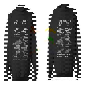 トカゲの種類 知育コレクション かわいいトカゲ愛好家 スウェットシャツ - Kawaiitshirt