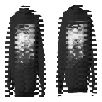 ハムスターを追うufo、クレイジーな動物、面白いハムスター スウェットシャツ - Kawaiitshirt