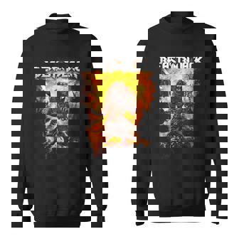 バーサーカー スウェットシャツ - Kawaiitshirt