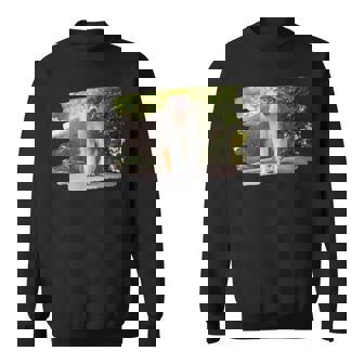 パタス・モンキー スウェットシャツ - Kawaiitshirt