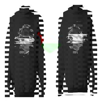 パレスチナシャツ パレスチナ国旗 アラビアのルーツ 遺産 Dna スウェットシャツ - Kawaiitshirt